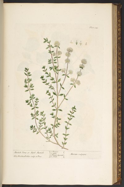 Tavola 134, da 