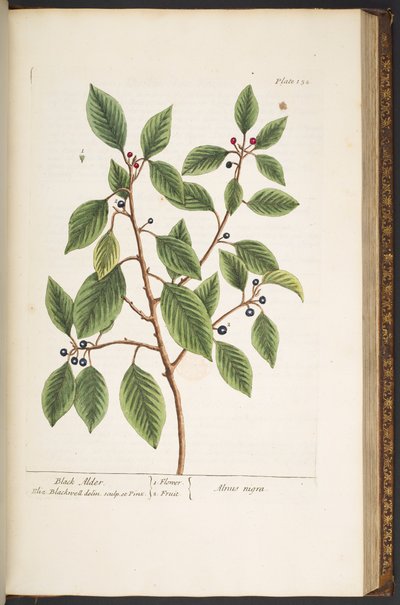 Tavola 152, da 