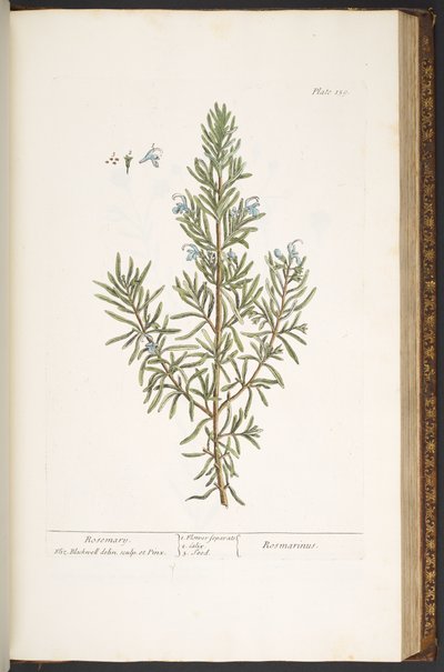 Tavola 159, da 