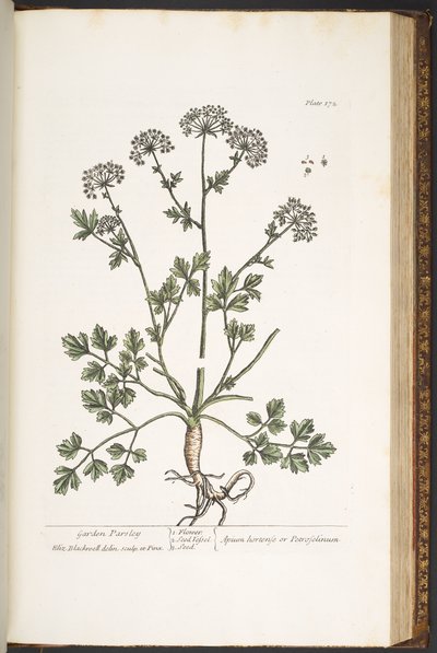Tavola 172, da 