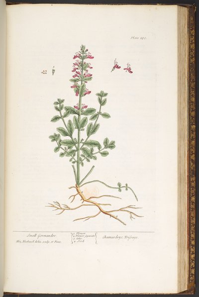 Tavola 180, da 