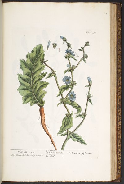 Tavola 183, da 
