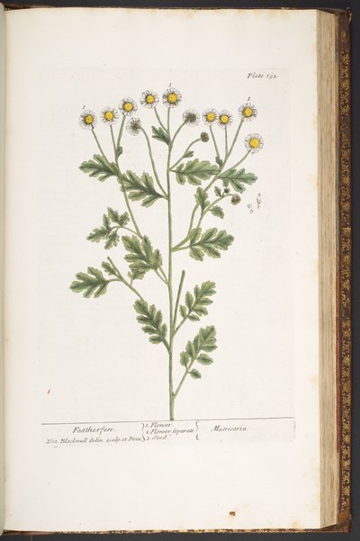 Tavola 192, da 