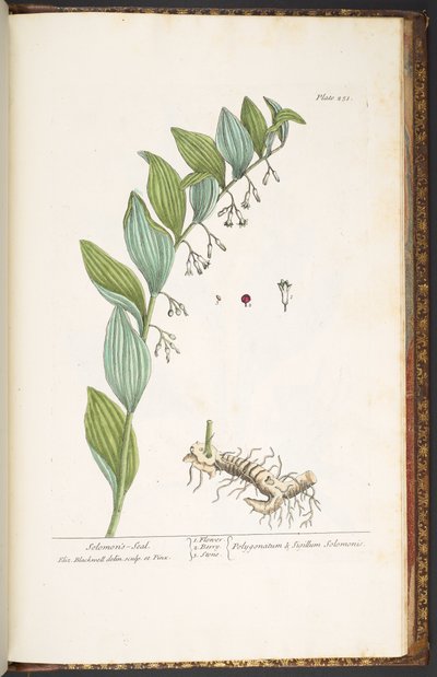 Tavola 251, da 