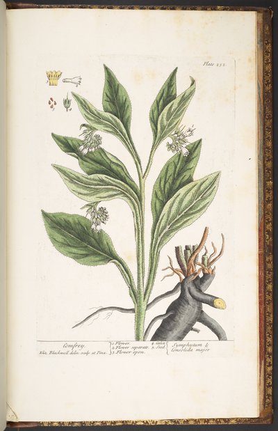 Tavola 252, da 