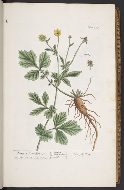 Tavola 253, da 