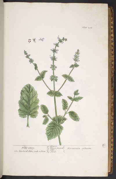 Tavola 258, da 