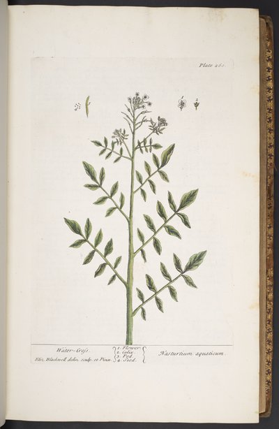 Tavola 260, da 