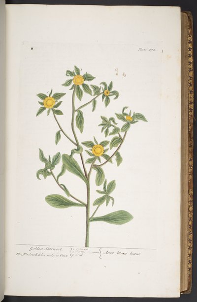 Tavola 272, da 