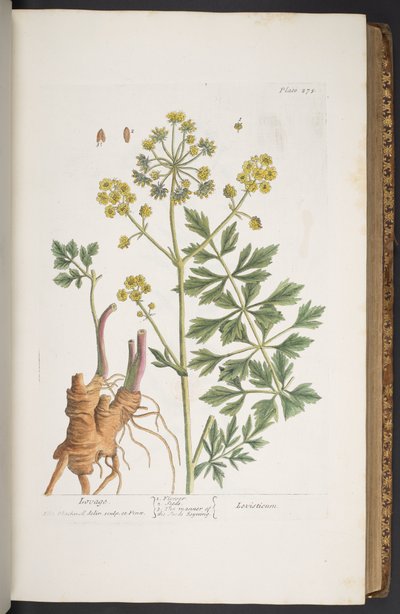 Tavola 275, da 