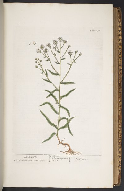 Tavola 276, da 