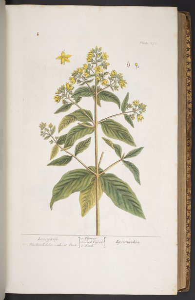Tavola 278, da 