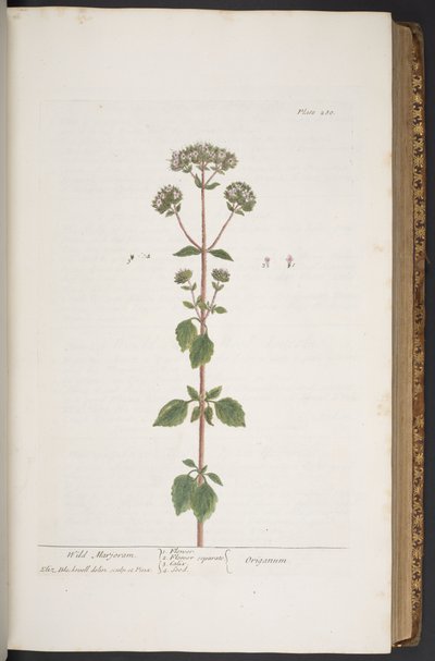 Tavola 280, da 