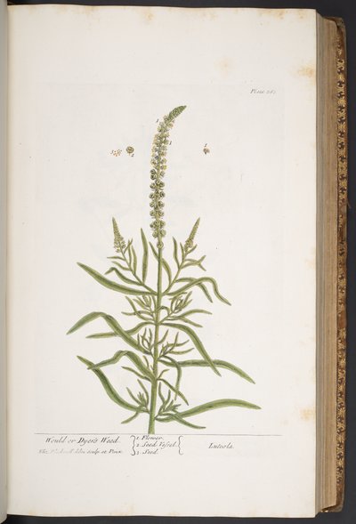 Tavola 283, da 