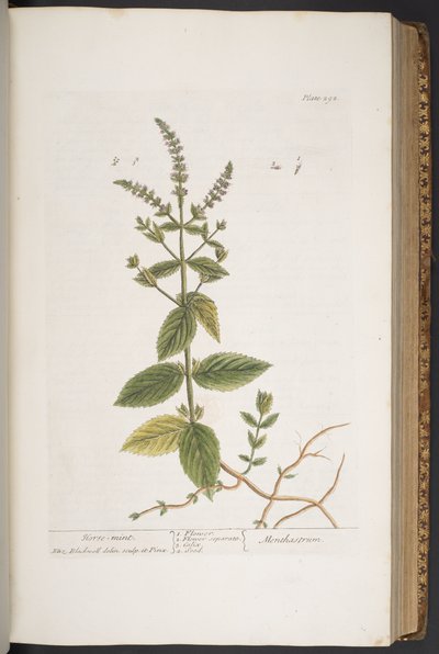 Tavola 292, da 