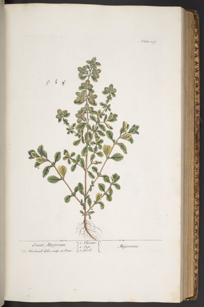 Tavola 319, da 