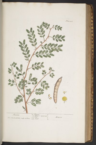 Tavola 345, da 