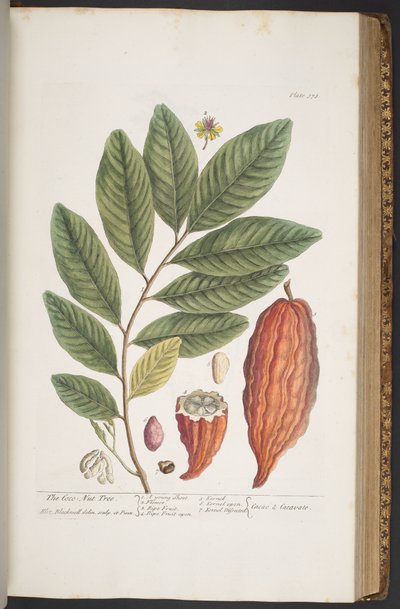 Tavola 373, da 