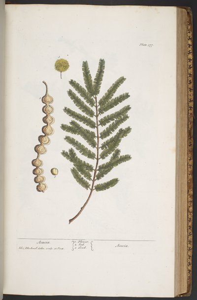 Tavola 377, da 