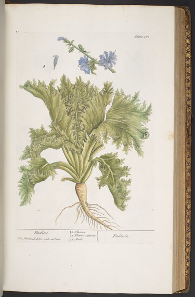 Tavola 378, da 