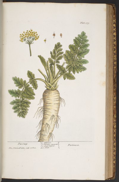 Tavola 379, da 
