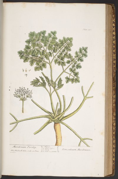 Tavola 382, da 