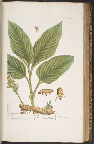 Tavola 396, da 