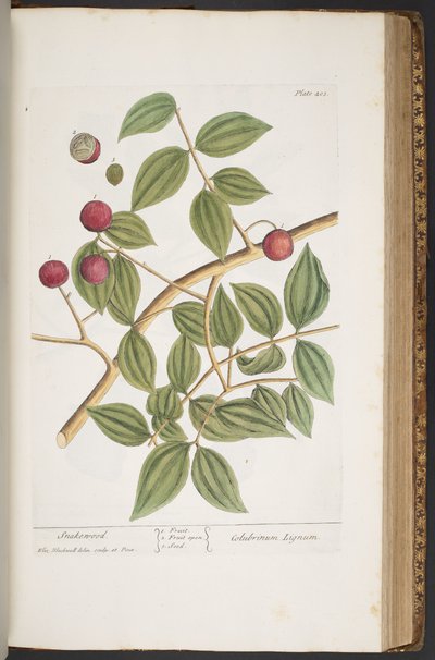 Tavola 403, da 