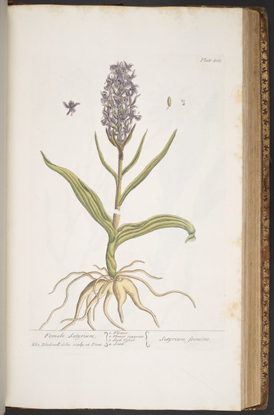 Tavola 405, da 