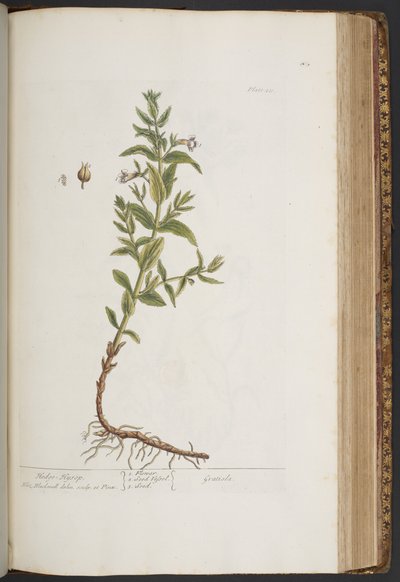 Tavola 411, da 