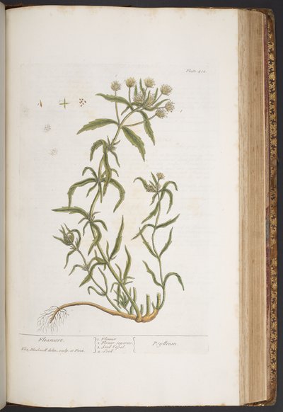 Tavola 412, da 