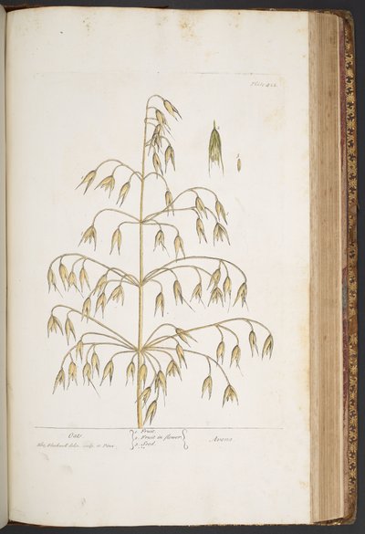 Tavola 422, da 