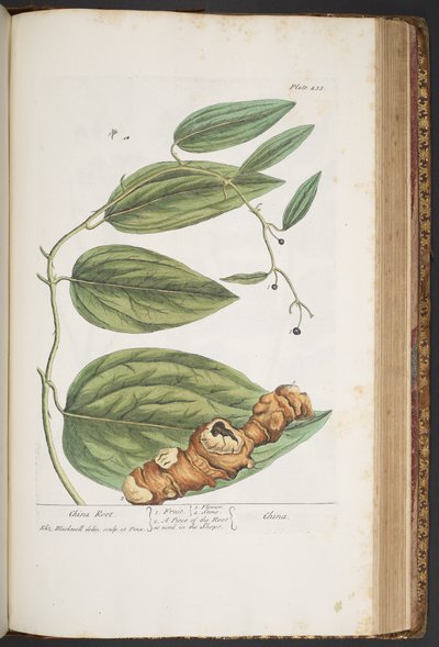 Tavola 433, da 