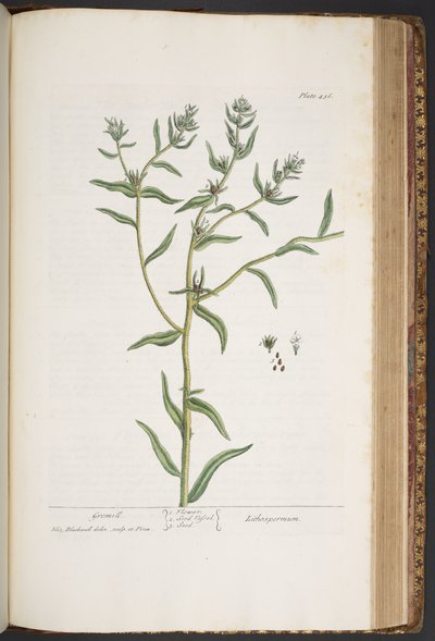 Tavola 436, da 