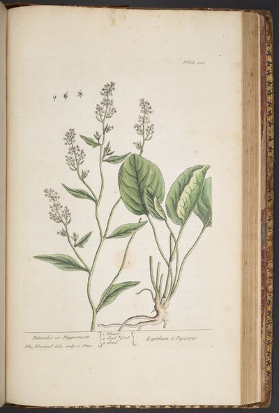 Tavola 448, da 