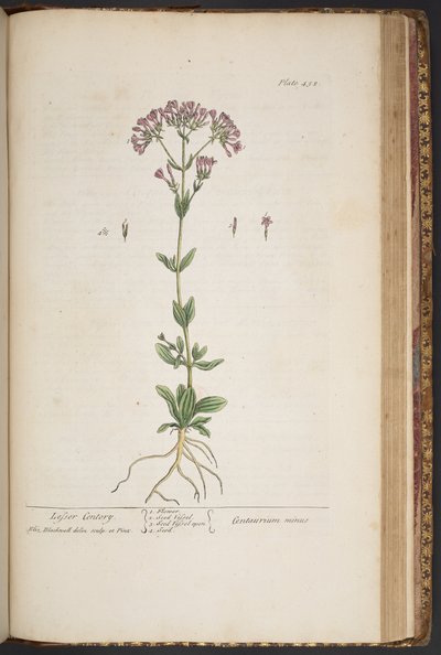 Tavola 452, da 