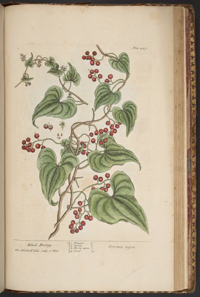 Tavola 457, da 