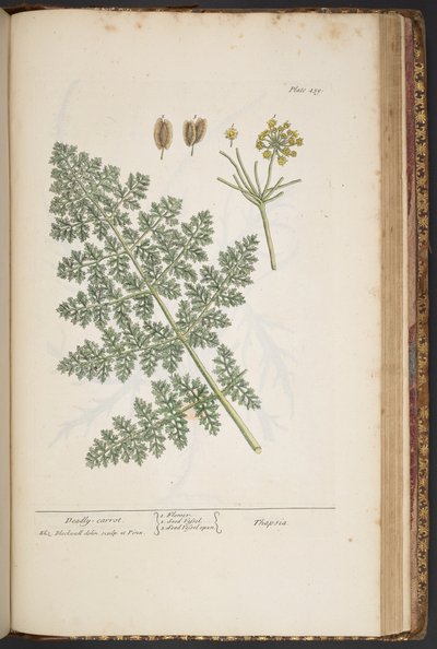 Tavola 459, da 
