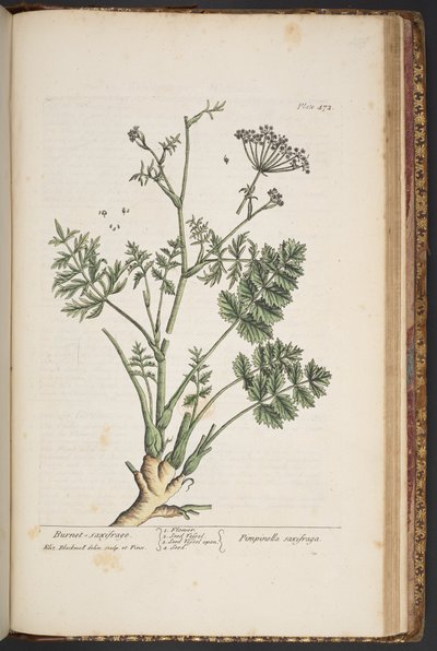 Tavola 472, da 