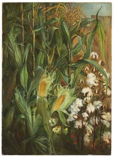 I due re: grano e cotone da Elizabeth H. Remington