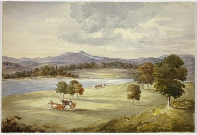 Mucche nel paesaggio da Elizabeth Murray