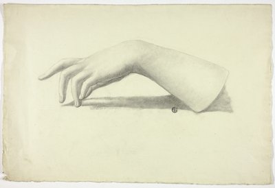 Avambraccio e mano sinistra da Elizabeth Murray