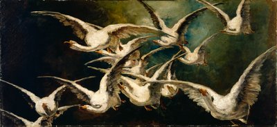 Stormo di oche da Elizabeth Nourse
