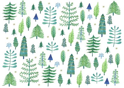 Foresta incantata, 2017 (acquerello) da Elizabeth Rider