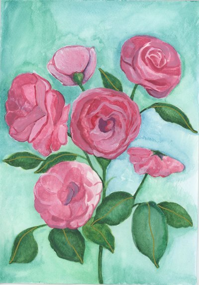 Rose rosa, 2017 (acquerello) da Elizabeth Rider