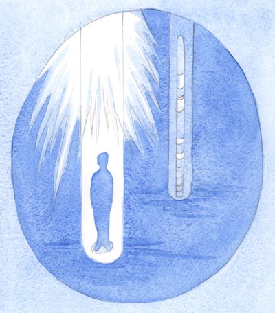 Vedendo la nostra vita quotidiana, nella luce di Dio, vediamo gli 