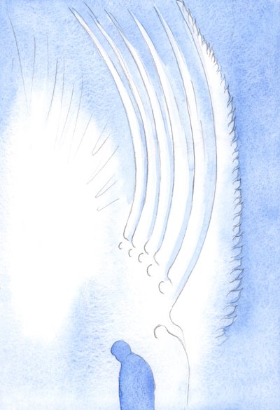 Durante il 