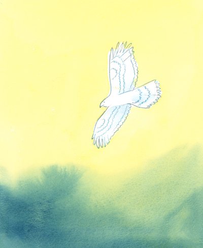 Nella Sua giustizia, Dio è come un grande uccello rapace, che vede da lontano la più piccola creatura sulla terra e tutti i suoi movimenti, 2003 da Elizabeth Wang