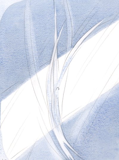 Alla luce della sera, ogni creatura, sospesa nel suo giusto posto, e in movimenti meravigliosi, riecheggiava la danza solenne degli angeli in Cielo da Elizabeth Wang