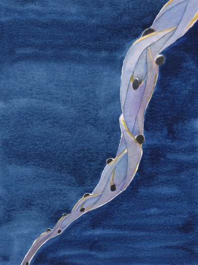 Le nostre intercessioni per le Anime Sante in Purgatorio, nel nome di Gesù, sono come una corda che le attira verso il cielo. da Elizabeth Wang